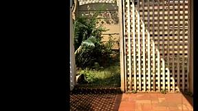 huge boobs on this pregnant ebony babe