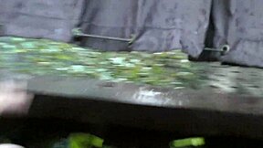 im spying on young big tits neighbor babe licking balls and taking huge cock