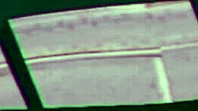 the indian housewife sneaks office sex with her boss bent over doggystyle kissing and licking