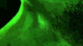 feeling her soft lips wrap my bbc in pov as she swallows every hot load deep