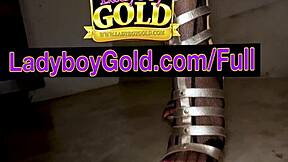 i can't resist this huge tits thai ladyboy's pov blowjob rimjob before anal pounding