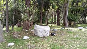 i fuck the estate's biggest whore in countryside