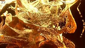 Ed Junior Vinny Star Big Bambu destroy Camila Cooper's ass in DP