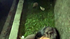 Caught pounding stranger's tight pussy on street quickie