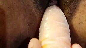 desi girl moans loud carrot fucks wet pussy?