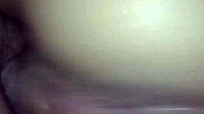 wanna wake up to my fat latina sister-in-law's curvy ass bouncing rough?