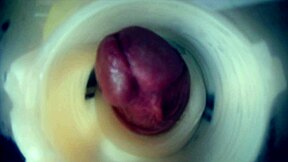 inside view of throbbing cock with two cumshots double creampie endoscopic cam