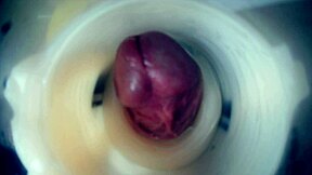 inside view of throbbing cock with two cumshots double creampie endoscopic cam
