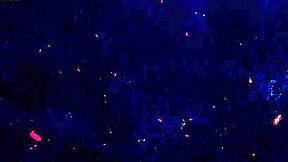 emily white the skinny slut takes two bbc deep in ass dap