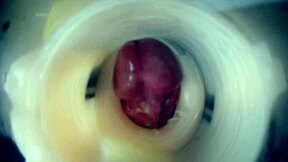 inside view of throbbing cock with two cumshots double creampie endoscopic cam