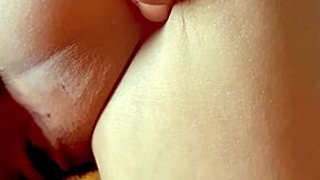 argentinian niece begs fill me no condom perfect ass pov