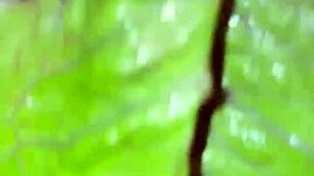 Saudi virgin arab teen 18yo extreme food fetish masturbation in beverly hills usa