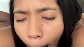 Sexy brunette babe nysdel slurps balls deep on bbc pov