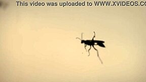 Sage Hunter Begs Ghoul for Rough Outdoor Fuck and Facial Cumshot Cosplay