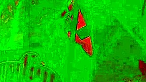 wear this harness slut or no wet pussy fuck - milf dominatrix squirts hard