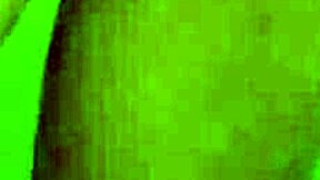 natural cutie sucks cock pov then gets her tight pussy pounded 😍💦