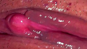 amateur asian wife licks shaved pussy 310 days post virginity