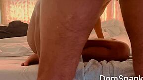 Petite ebony beauty queen screams riding rough cock slapped hard full video