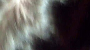 i spit messy on boyfriend's cock then take it doggy style