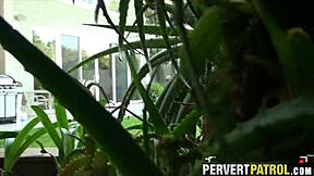 trashy tattoo slut gets spied fucking outdoors publicly