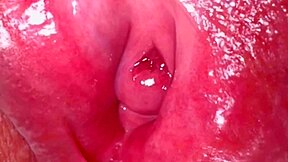 how's this pink pussy 336 days post-virginity?