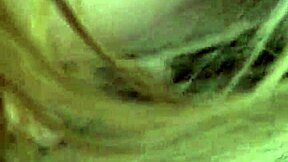 cheating latina thot strips & sucks big black cock in florida car. she rides to sloppy facial