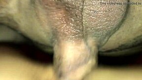 hot delhi teen girlfriend takes boyfriend's monster cock deep