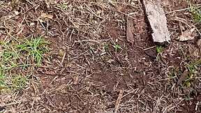 go outside for a quick pussy pissing show