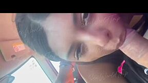 teen latina sucks tourist dick in car 😍 sloppy pov blowjob