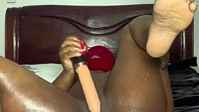 damn that ebony solo dildo anal plug squirt was epic