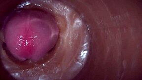 huge cock pumps cream deep inside slut