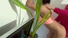 Cogiéndome a la muchachita de limpieza que contrató mi esposa