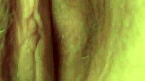 Watch Kisa Angel Rip Clothes in Seductive Strip?