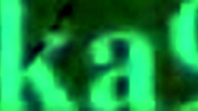 Trailblazer and March 7th in Wild Honkai Star Rail Action