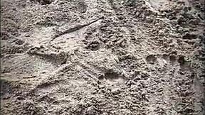 Stranger sucks cock on beach.