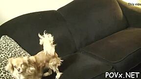 Erected Cock Roughly Pounds Shaved Hairless Pussy POV