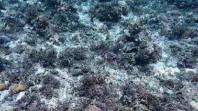 Time to philosophize and show the biggest toy