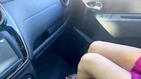 Hey, picked up a hottie and banged her on highway