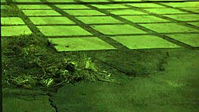 Stranded Teen Feels Intense Pleasure During Outdoor Rough Fuck