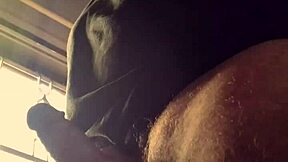 Shower of cocks in steamy homemade action. What’s your wildest fantasy with Bad Wolf28?