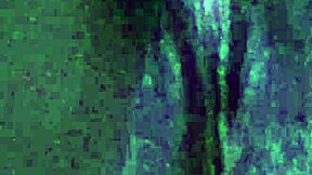 Chubby latina opens her virgin wet pussy for licking.