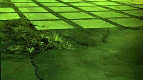 extreme trampling domination on teen unless you dig sixties style