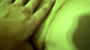 스텝시스가 POV에서 불어, 아마추어 액션 거부 못 해