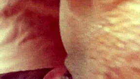 Tight Pussy Torn by BBC