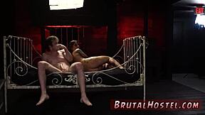 Felicity Feline Teases Bound Tourists With Her Feet?