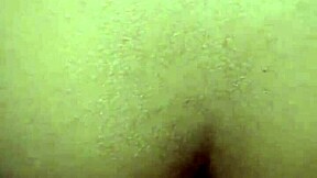 Arrives Home Hot And Ready