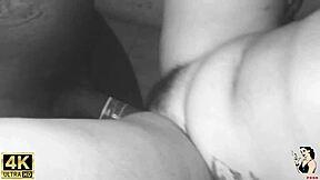 Trailer: Neighbor's wedding