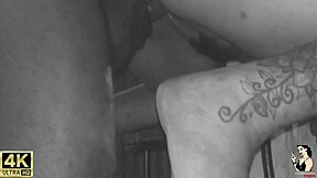 Trailer: Neighbor's wedding