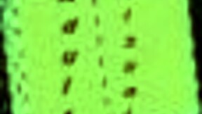 Summertime Saga 141 Unleashed!