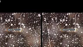 european czech babe masturbates with dildo in vr piss play